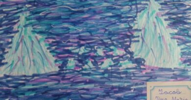 TOP 3 cȃstigători Desen Stȃngaci, inspirat de „Gețarii, sursa apelor curate asumate”