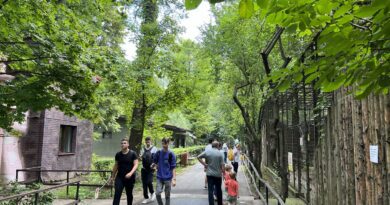 Animalele tale preferate de “Ziua Internațională a Grădinilor Zoologice și a Parcurilor” #focustogreenecolife