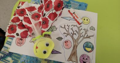 A fi tolerant: ne ecologizăm emoţiile şi comunicăm creativ la #apecurateasumate