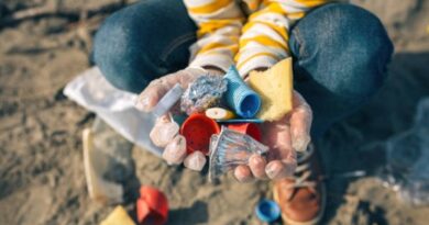 Elevii sărbătoresc Ziua Mondială a Oceanelor prin proiectul „Ape curate asumate”